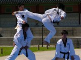 Národním sportem Korejců je taekwon-do.