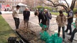 Vyrůst mezi stromy - skauti slaví Den Země sázením stromků (televize Metropol 20. dubna 2012) 